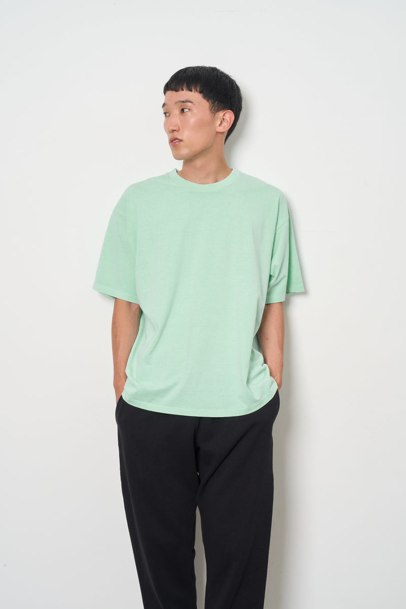 PIGMENT DYE S/S 