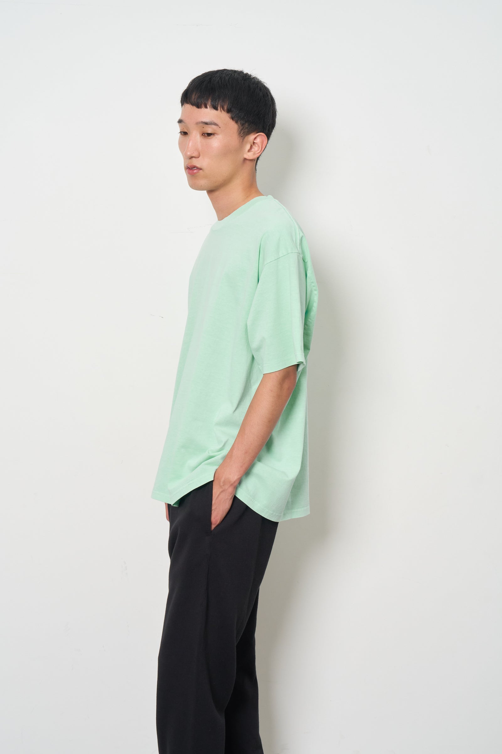 PIGMENT DYE S/S 