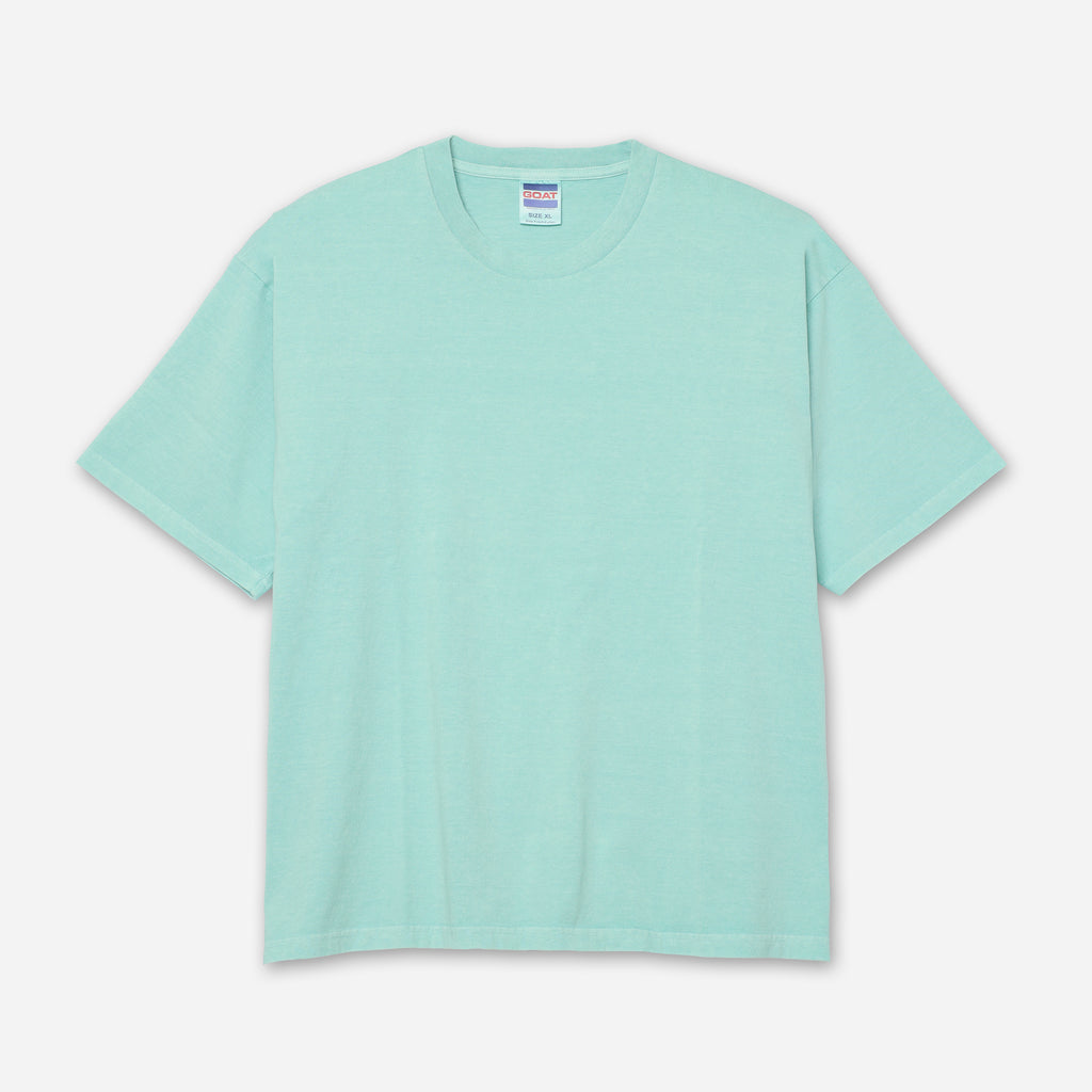 PIGMENT DYE S/S 